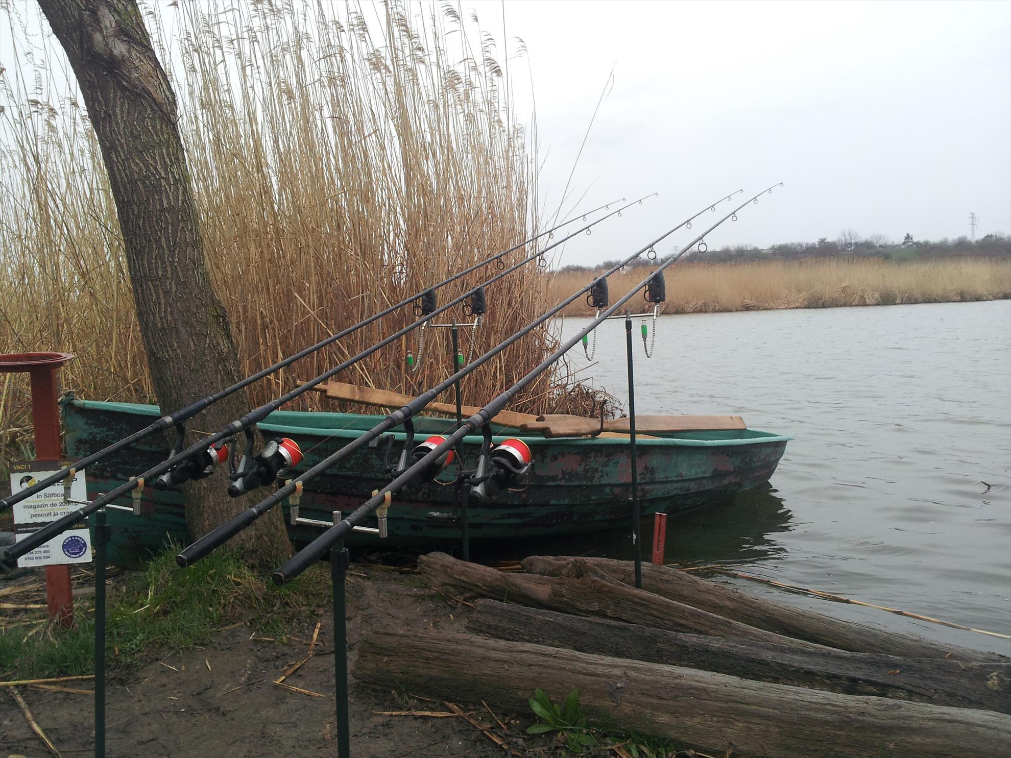 tancabesti  5-6 aprilie 2013 - 20130405181819.jpg